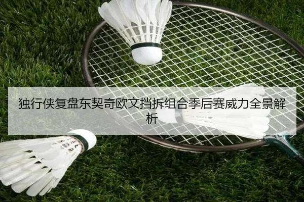 独行侠复盘东契奇欧文挡拆组合季后赛威力全景解析